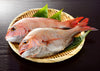 Japanese Madai Snapper Whole (5 LB AVERAGE)