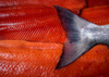 Fresh Wild Copper River Alaskan King Salmon 5 lbs Fillet ($79.99 / lb)